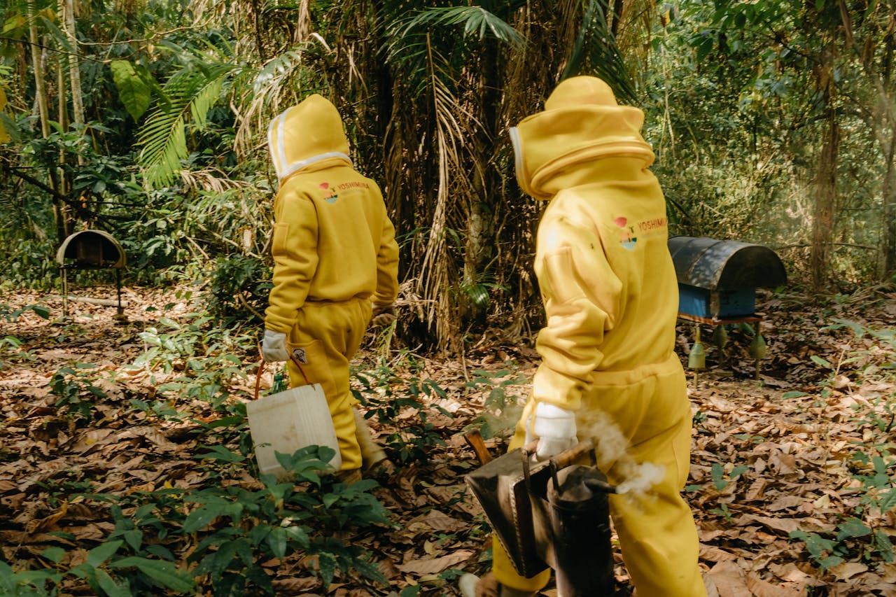 Beekeepers in yellow protective suits working in an outdoor apiary, carrying tools.